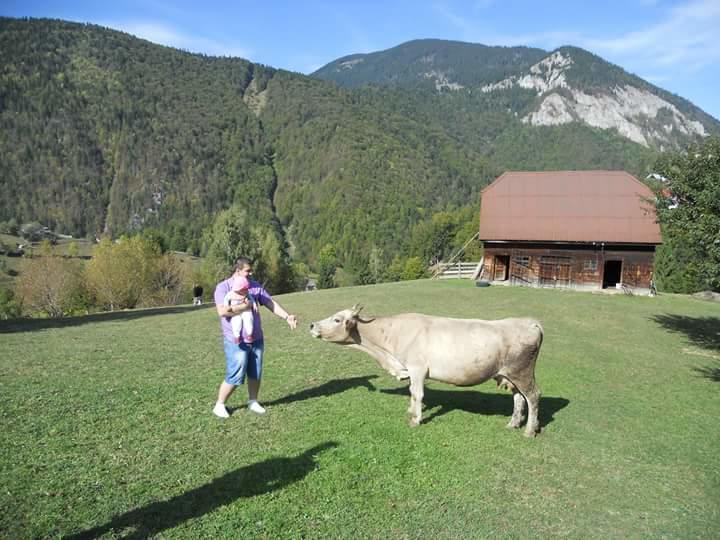 Pensiunea Casa Dobre Măgura Exterior foto
